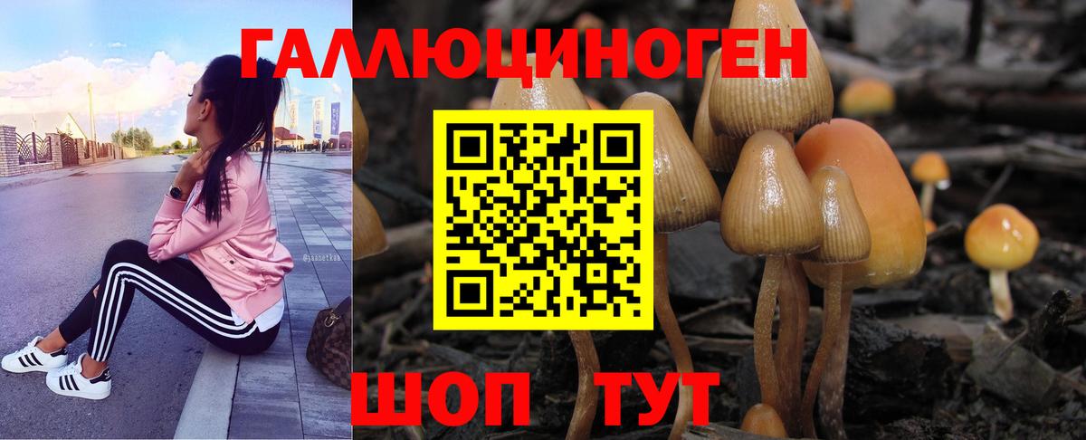 Галлюциногенные грибы мицелий Чехов