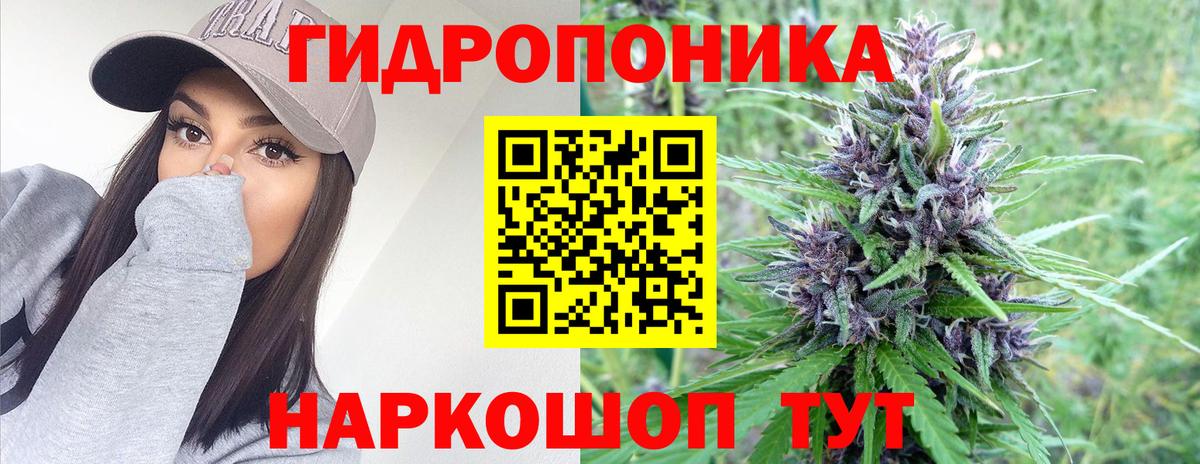 Шишки марихуана семена  Конопля VHQ  Вход с VPN  Чехов 